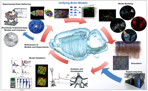 The HBP Data Integration Strategy [F. Schürmann, EPFL]